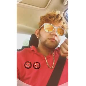 Meet your Posher, Manuel